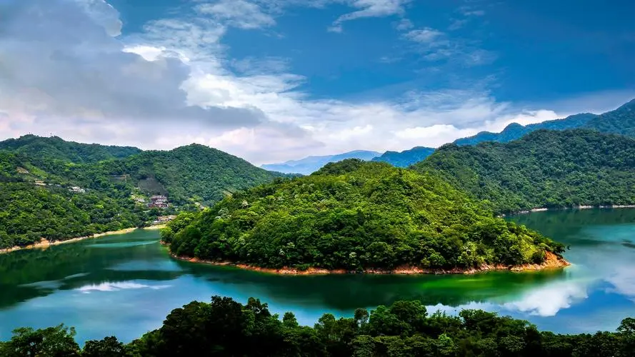高效高性能自动化